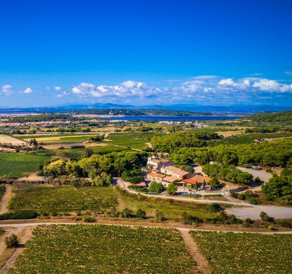 Chateau Le Bouis Груисан Екстериор снимка